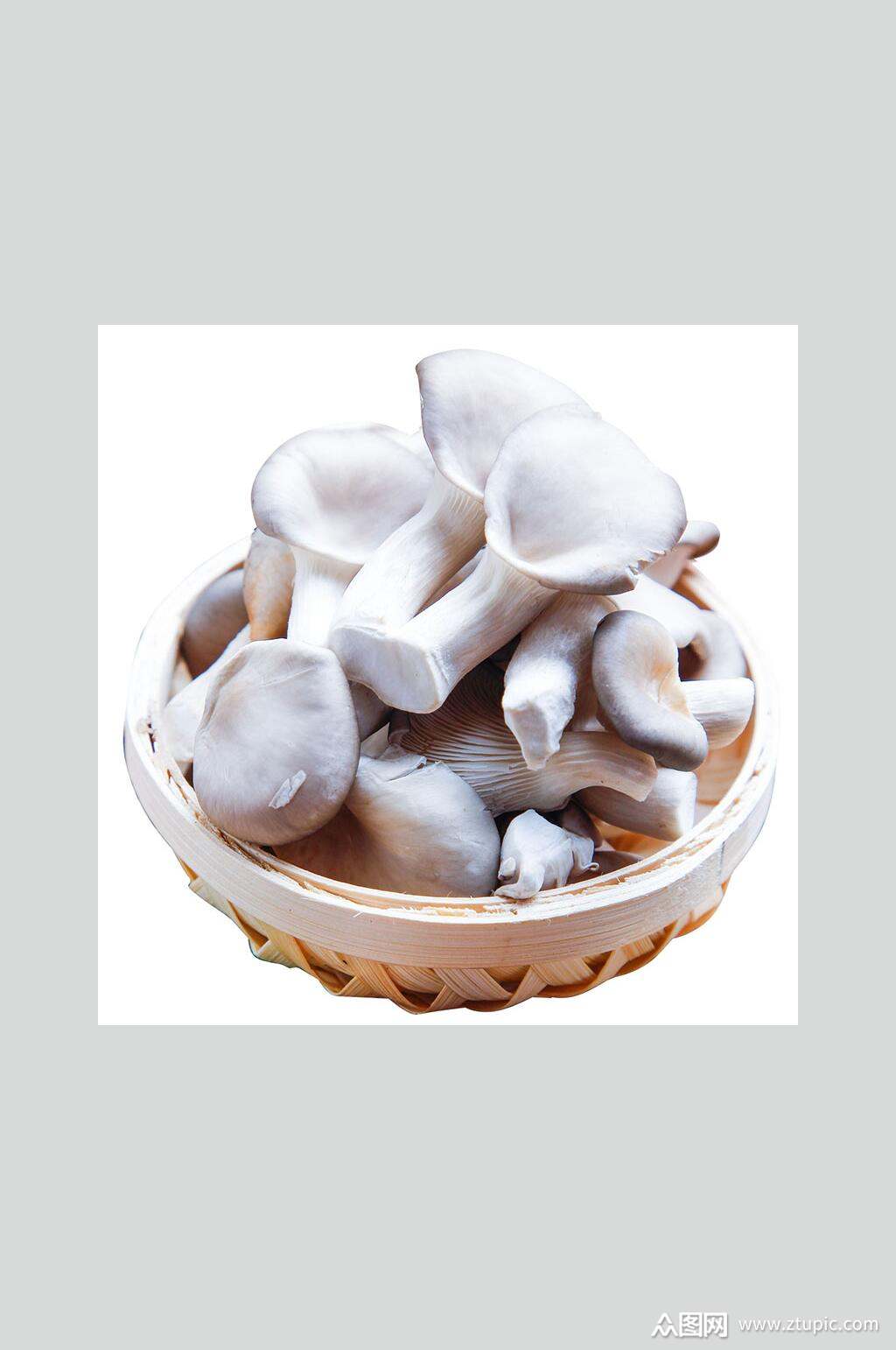 秀珍菇(秀珍菇要煮多久才熟)